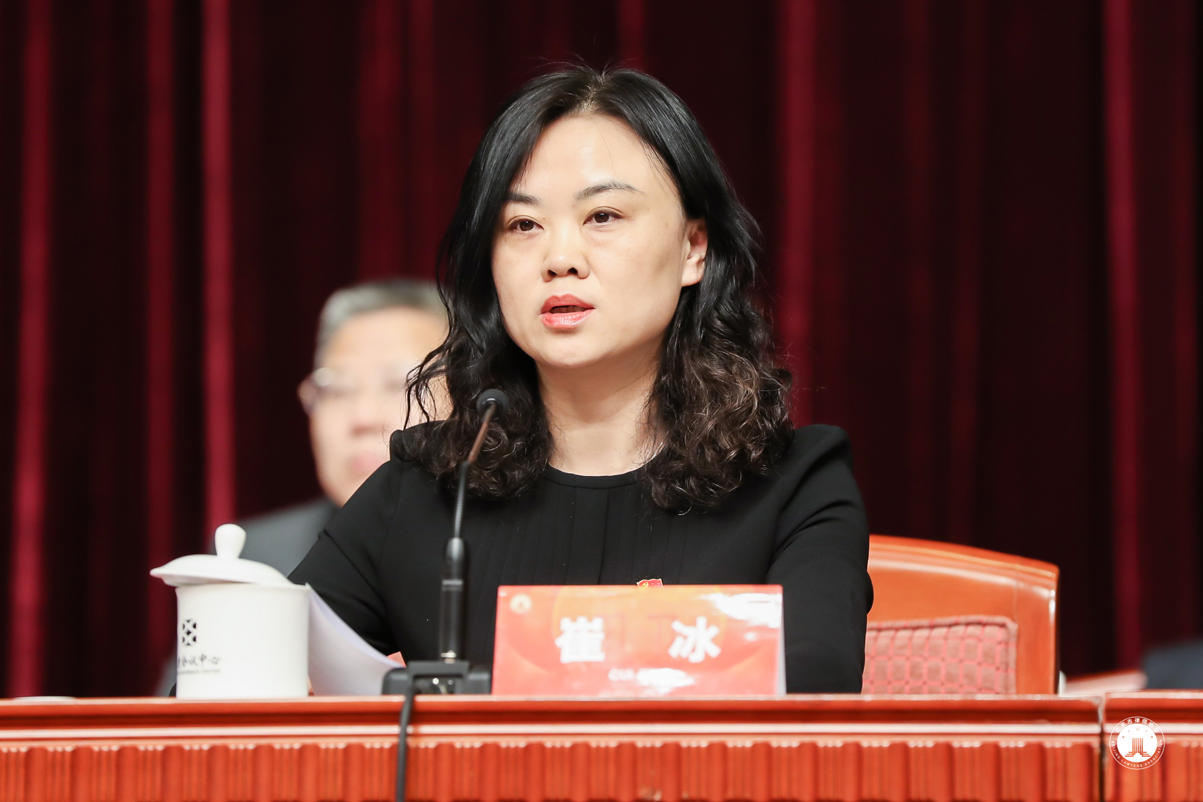 北京律师行业党史学习教育暨突出问题专项治理推进会召开