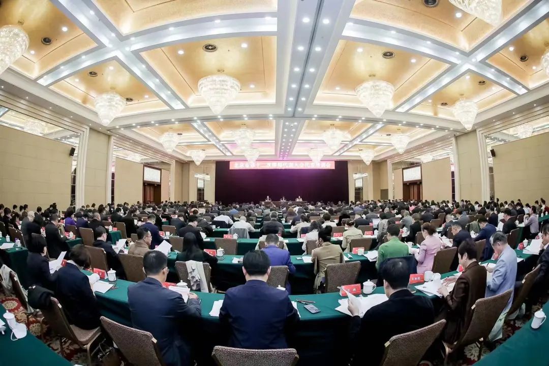 北京市律师协会召开第十二次律师代表大会代表培训会