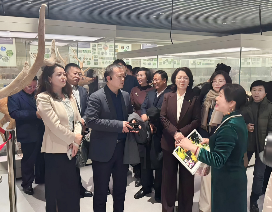 202601_1769667737653.png 9da0a48724e238bf2e1bf748f4fa6b07.png